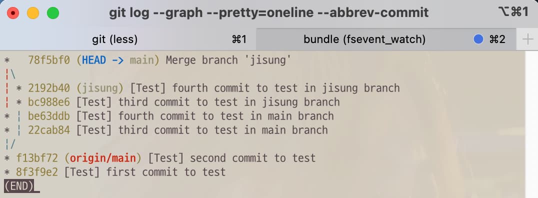 Git log before git command reset --merge