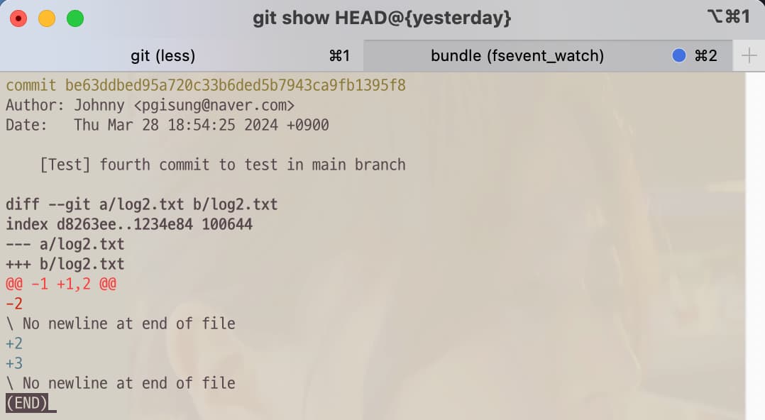 Git command to show specified log for filtered reference