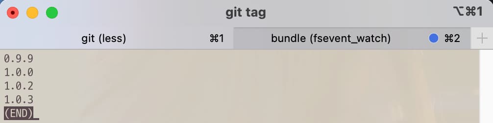 Tag list after git command tag -a version -m message