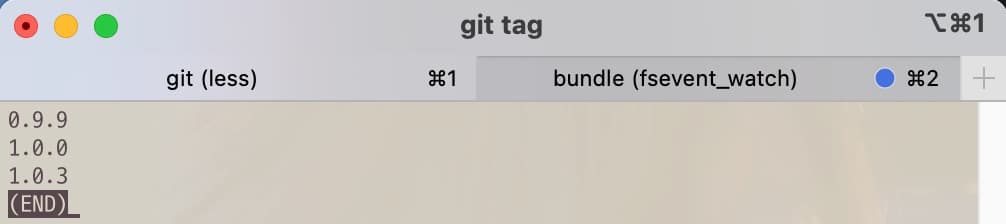 Tag list after git command tag -a