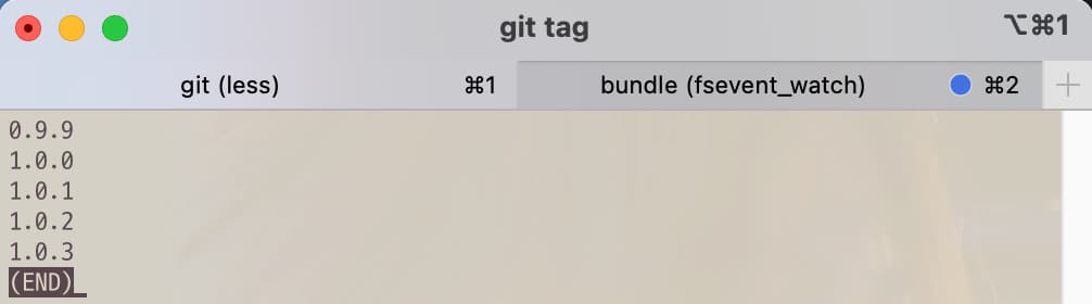 Tag list after git command tag version