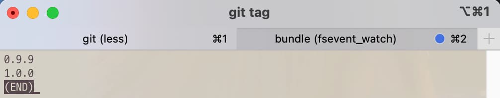 Tag list before git command tag -a