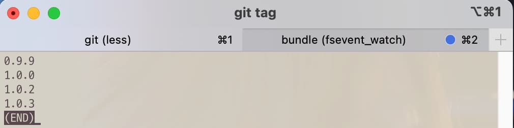 Tag list before git command tag version