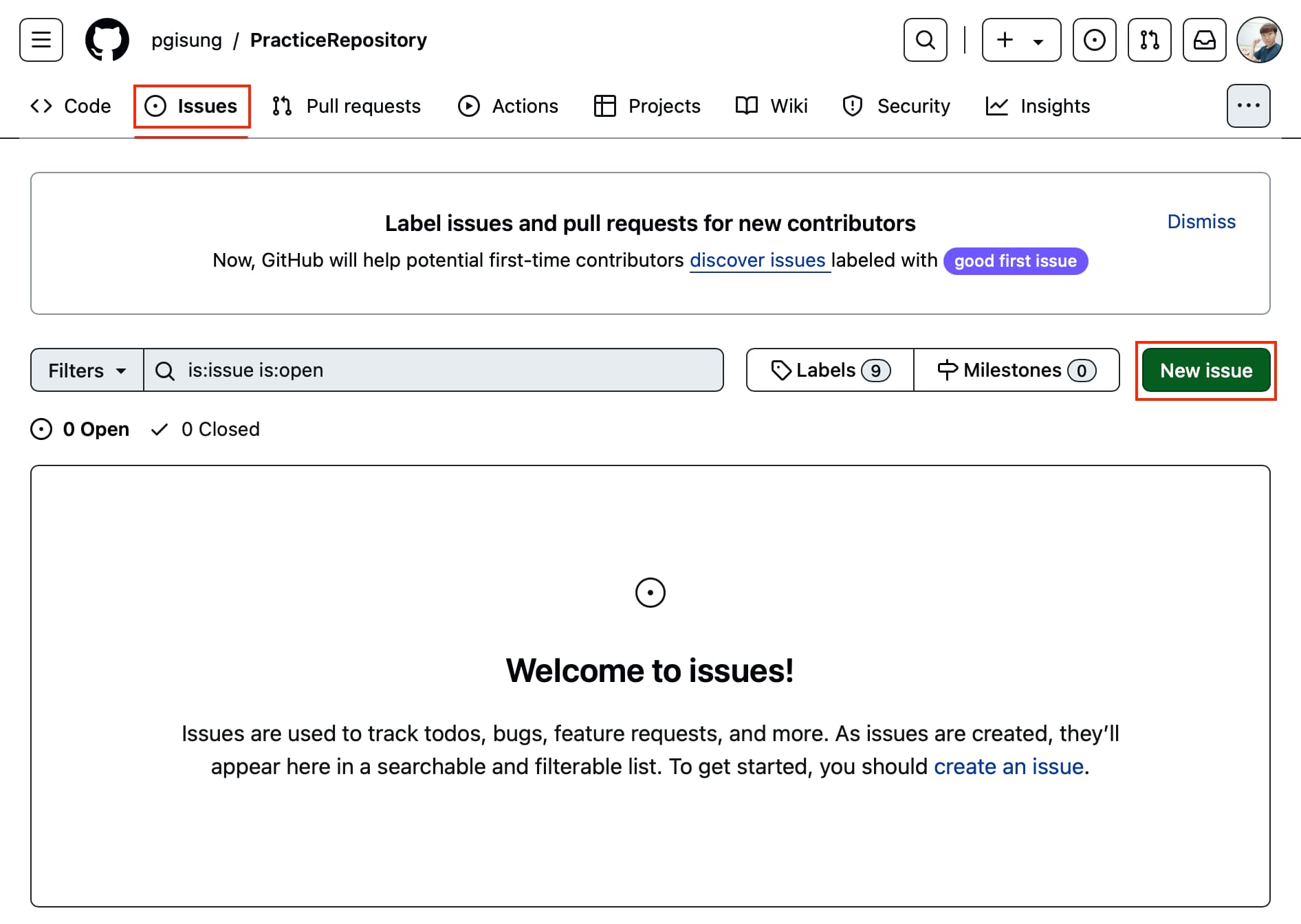 Issues tab for the remote repository