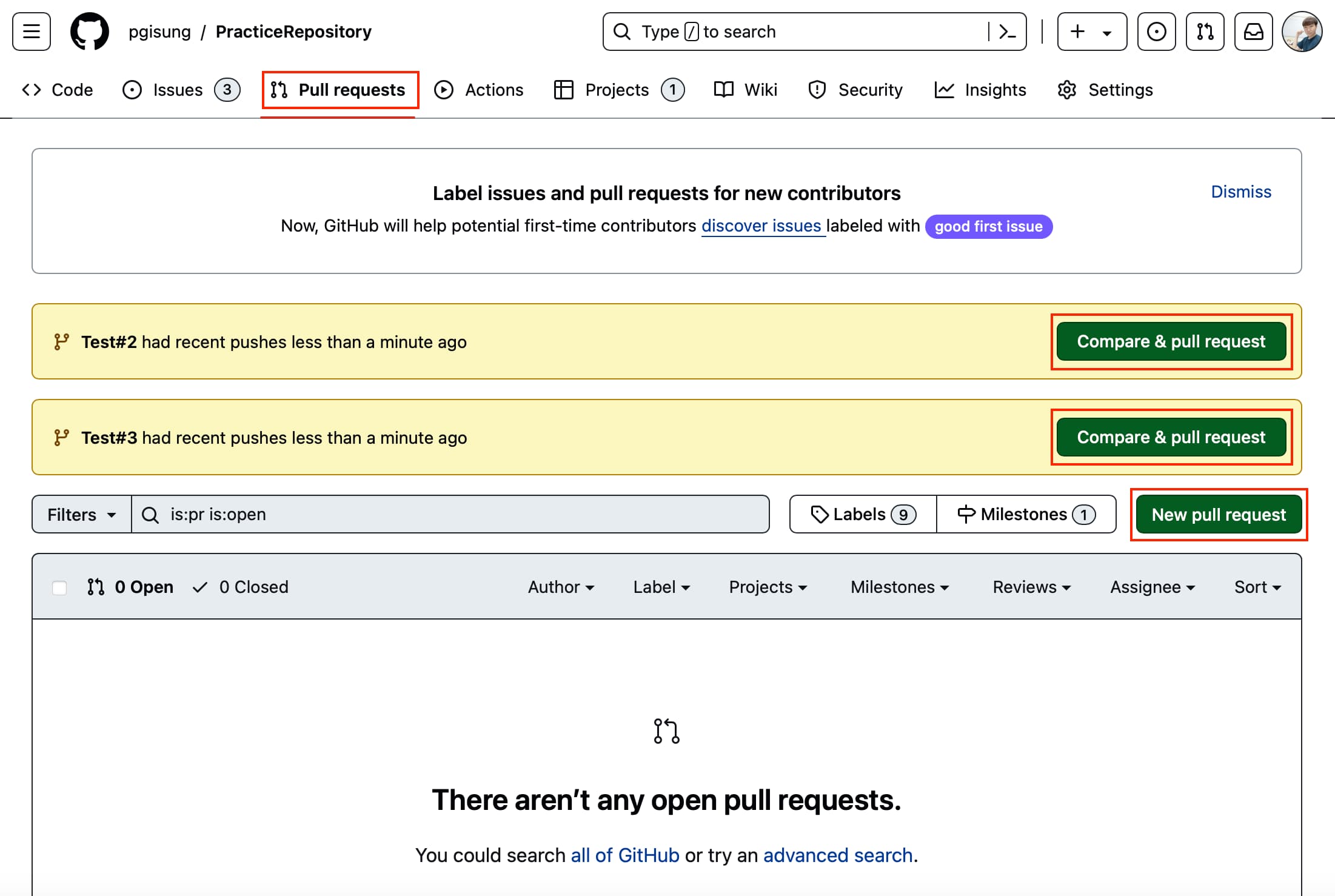 Pull requests tab for the remote repository