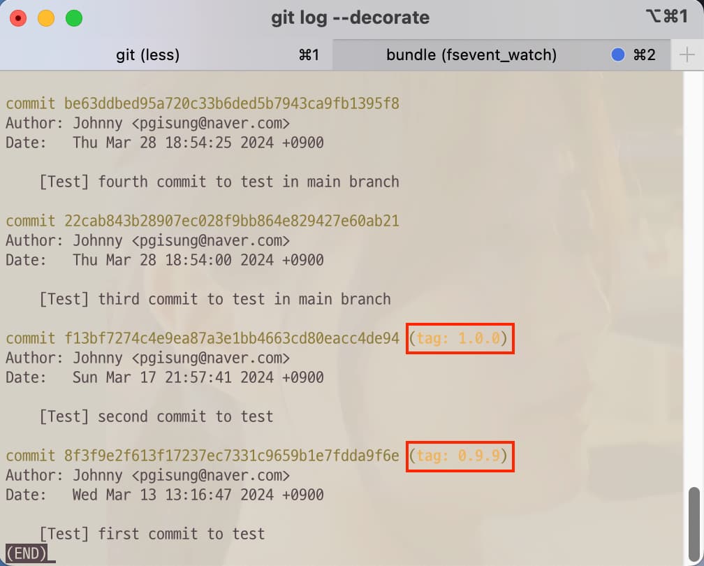 Git command to show log with tag information