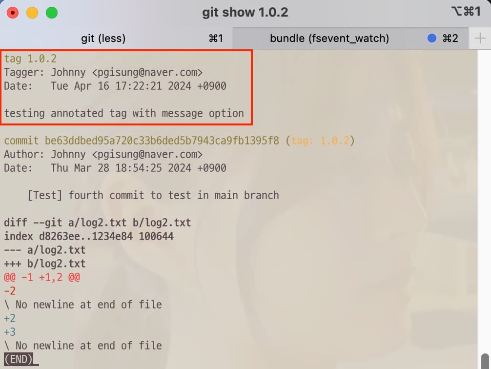 Git command to show log of the tag