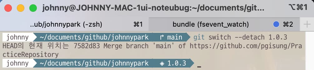 Git command to switch to the tag