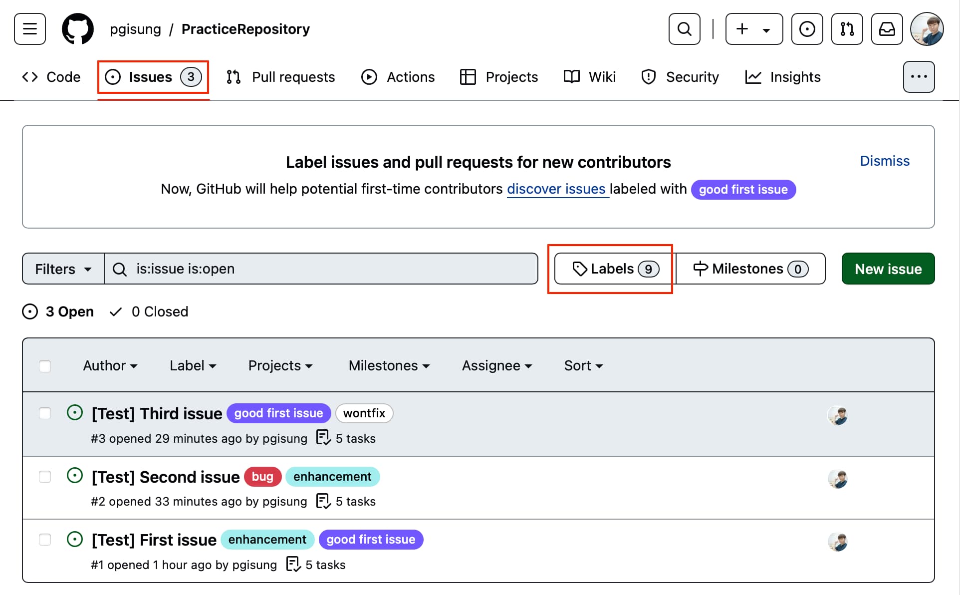 Issues tab for the remote repository