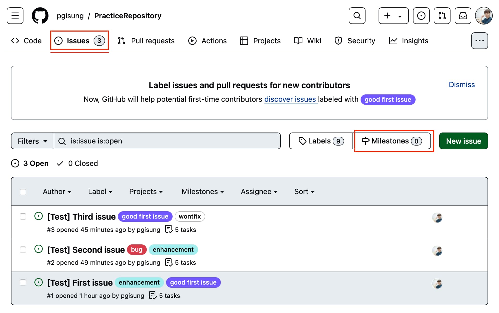 Issues tab for the remote repository